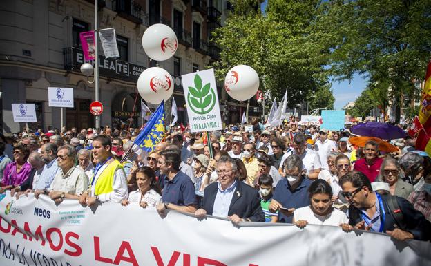 La manifestación por la vida reúne a 20.000 personas en Madrid