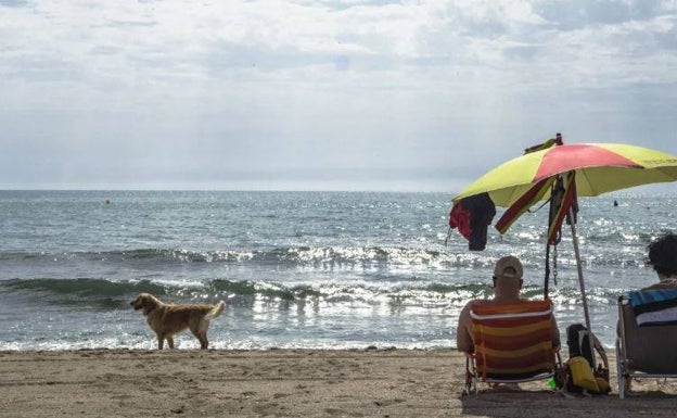 Un 'food truck' con terraza para la playa canina de Agua Amarga