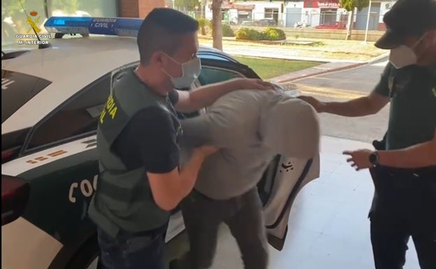 Un detenido en Benifaió por cultivar 359 plantas de marihuana y robar luz pública