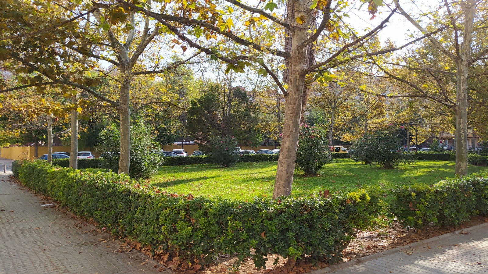 El Ayuntamiento de Valencia licita una nueva zona para perros en Benimaclet