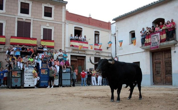 Herido grave un niño de 12 años al ser corneado por una vaca en Puçol