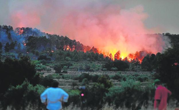 El viento reaviva el incendio de Venta del Moro y arrasa 800 hectáreas