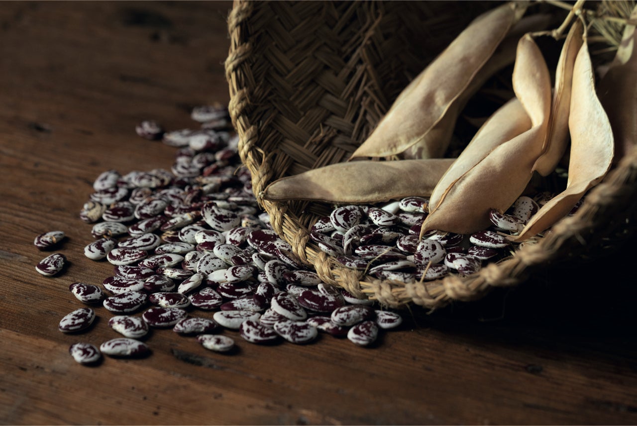 El garrofón, estrella de la paella