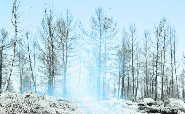 Un incendio en la Sierra Mariola pone en máxima alerta a Bocairent