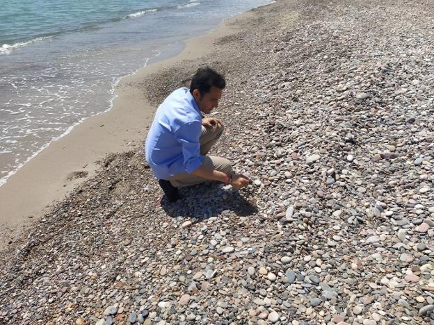 Piden a Costas un proyecto definitivo que frene la fuga de sedimentos de la playa