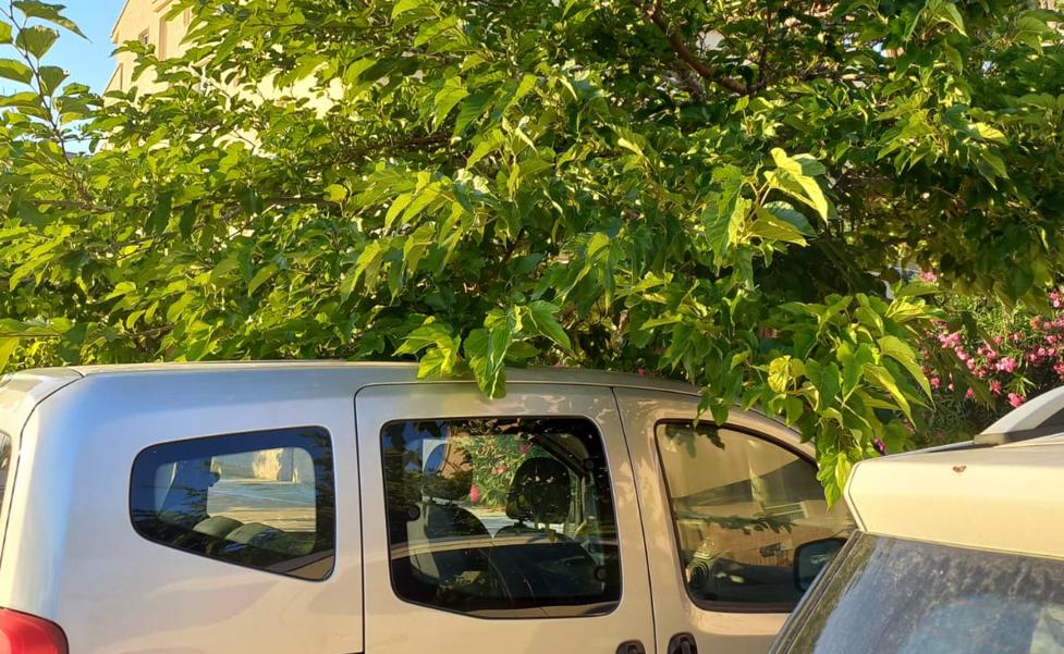 El abandono se ceba con el Perellonet en plena temporada veraniega