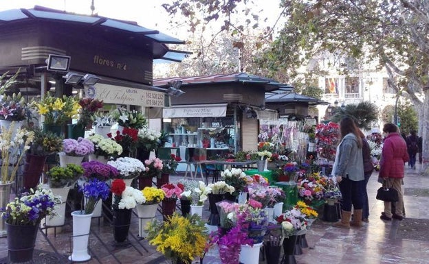 Giner exige que se incluya la opinión de los floristas en la reforma de la Plaza del Ayuntamiento