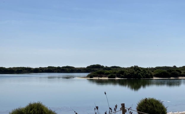 Proteger l'Albufera: un enclave estratégico y una joya natural