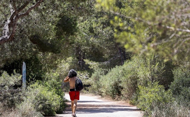 La Comunitat, en riesgo máximo de incendios por las altas temperaturas