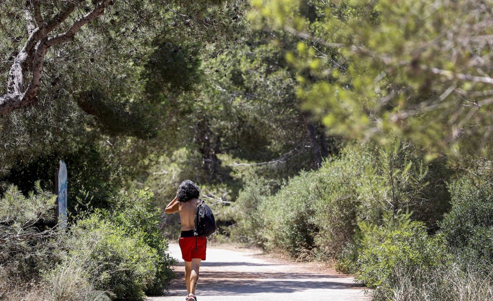 La Comunitat, en riesgo máximo de incendios por las altas temperaturas
