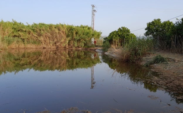 La restauración del antiguo vertedero de Guadassuar se inicia 24 años después de su clausura