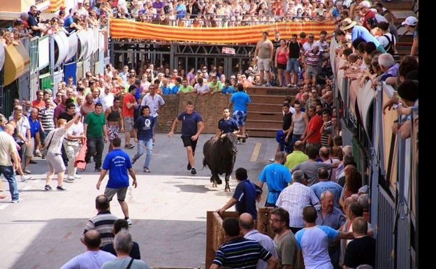 El informe policial sobre el accidente en los bous al carrer de Pedreguer apunta a una posible distracción del turista fallecido