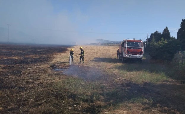 Los bomberos sofocan un incendio de vegetación cerca de Nova Dénia