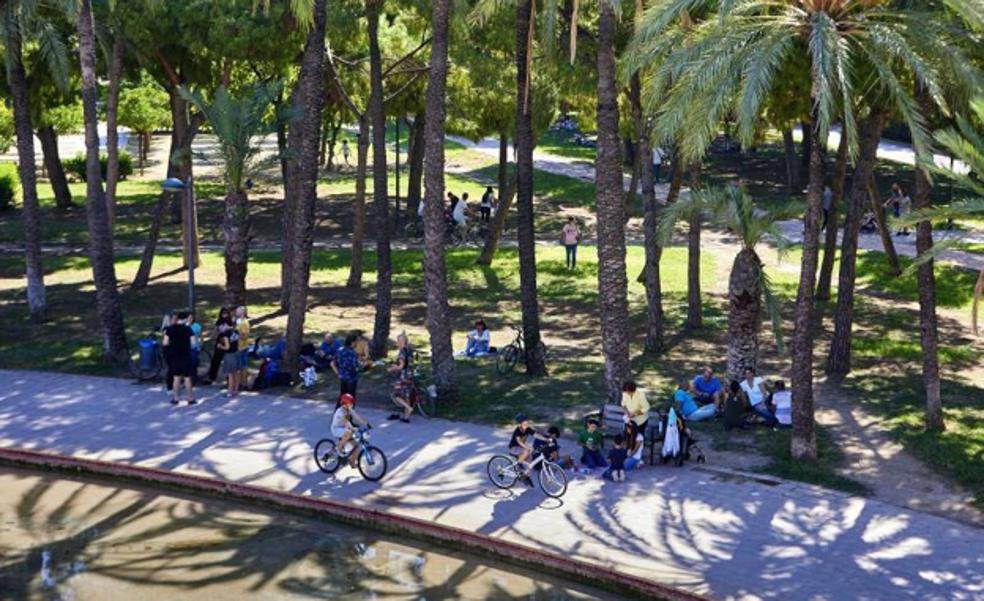 Valencia ansía ser capital verde europea... con más de 3.600 alcorques vacíos