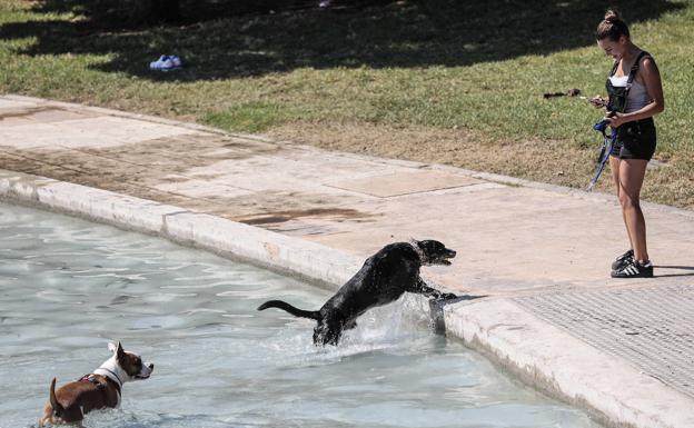 Alerta amarilla por la ola de calor: ¿Dónde se rozarán hoy los 40º en Valencia y Alicante?