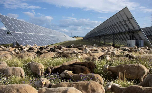 Una multinacional invierte 300 millones en tres plantas fotovoltaicas en la Comunitat
