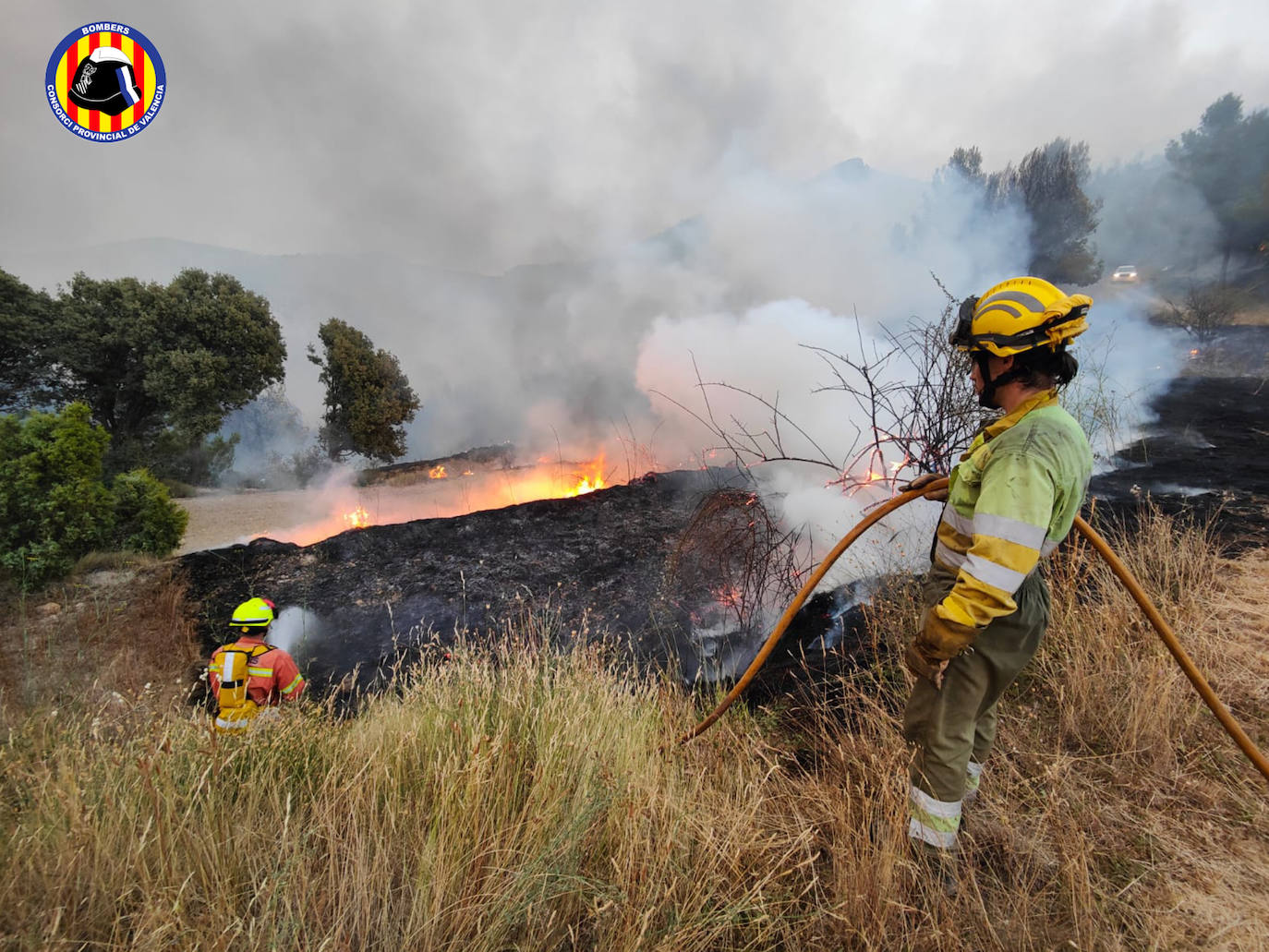 Incendio forestal en Calles