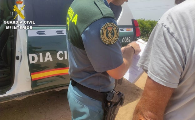 Investigan a un hombre por acuchillar a seis perros de caza en Benaguasil