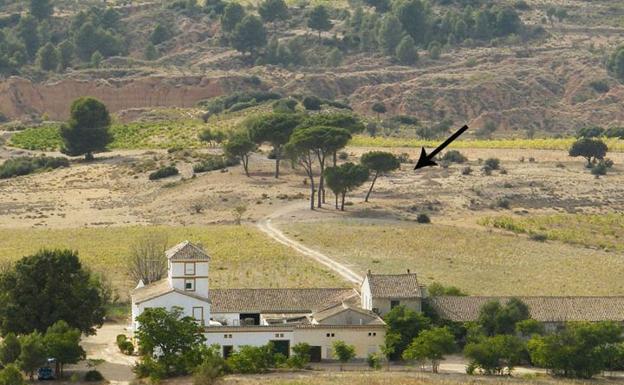 El vino que se producía hace 2.000 años en Requena