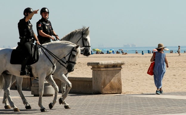 Un grupo de ladrones, detenidos por una agresión sexual en manada en Valencia