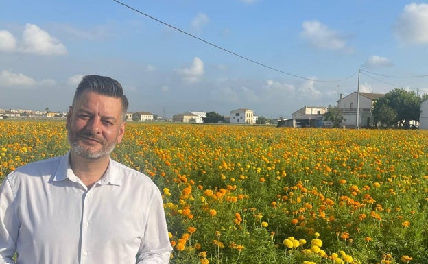 1.700.000 clavellones llenarán de color la Alameda durante la Batalla de Flores