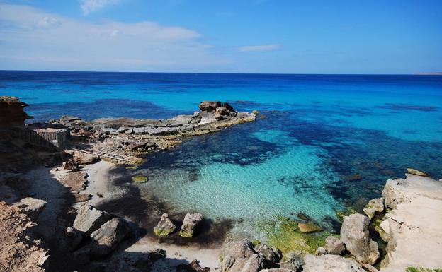 Una gran ola de calor marina amenaza la flora y fauna mediterránea