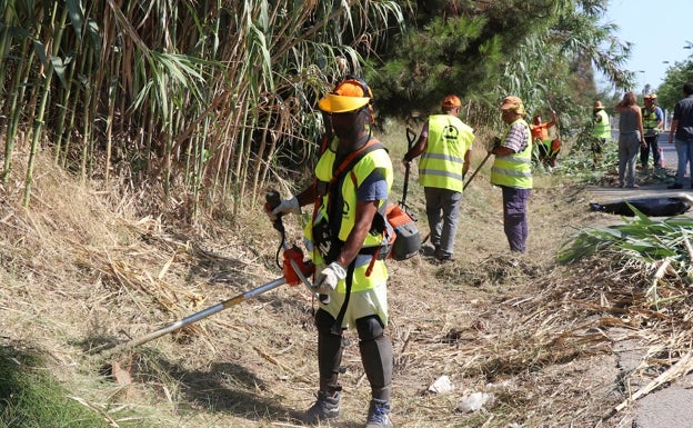 Sagunto mejora los caminos rurales y marjales con una brigada de trabajadores agrarios