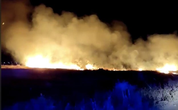 Un incendio en campos abandonados de Catarroja aviva la polémica por este problema