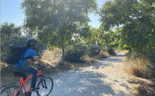 El polvorín del Turia: el tramo de la ruta verde que se marchita