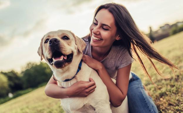 La razón por la que no debes abrazar a tu perro