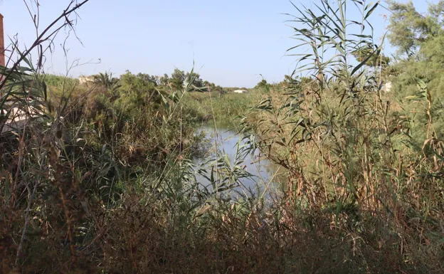 Asaja pide al Gobierno una actuación urgente en el río Segura ante la posibilidad de una gota fría