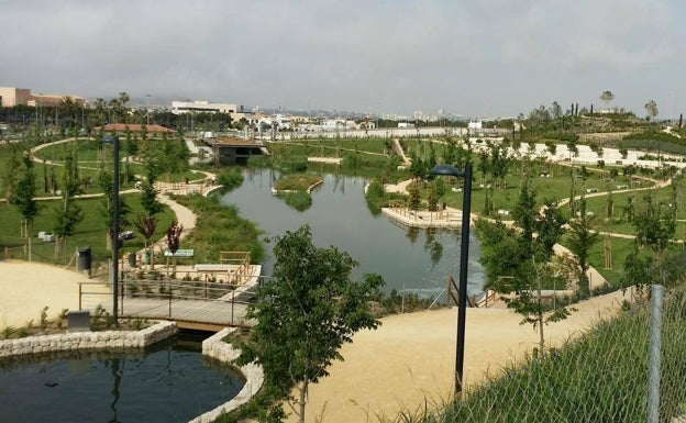 Alicante cierra parques y plazas ante la amenaza de caída de ramas por el viento