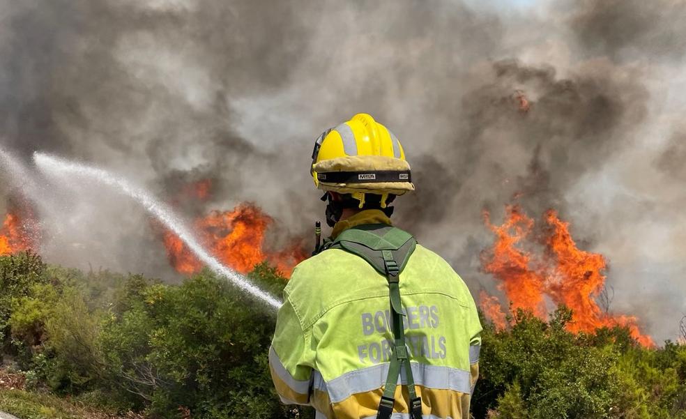 El fuego acaba con 800 hectáreas de alto valor ecológico en Les Useres