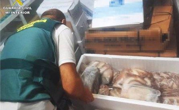 La Guardia Civil interviene una tonelada de pescado ilegal en varios locales de la costa alicantina
