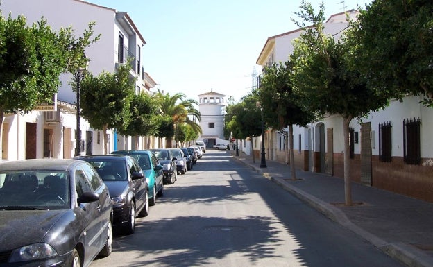 «Va armado por la calle y dispara a cualquier gato»