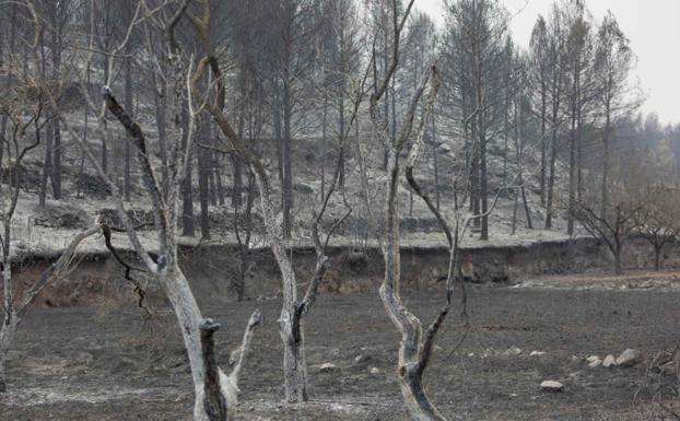 MAPA | Así ha avanzando el incendio de Bejís