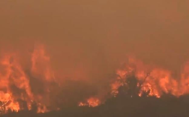 DIRECTO | Última hora del incendio de Olocau y Bejís: Aemet alerta de un «campo complejo» de viento en la zona caliente del incendio