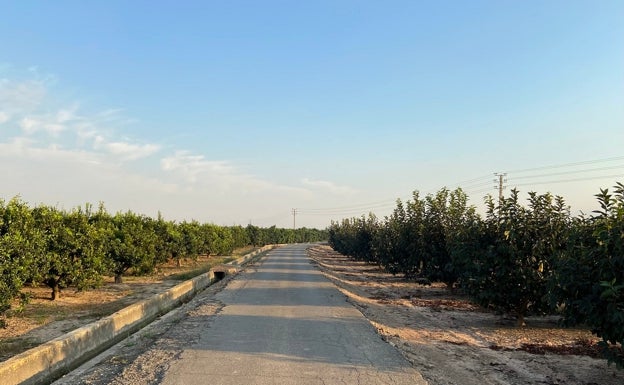 Alzira limpiará el puente de Xàtiva y el barranco de la Murta con autorización de la CHJ