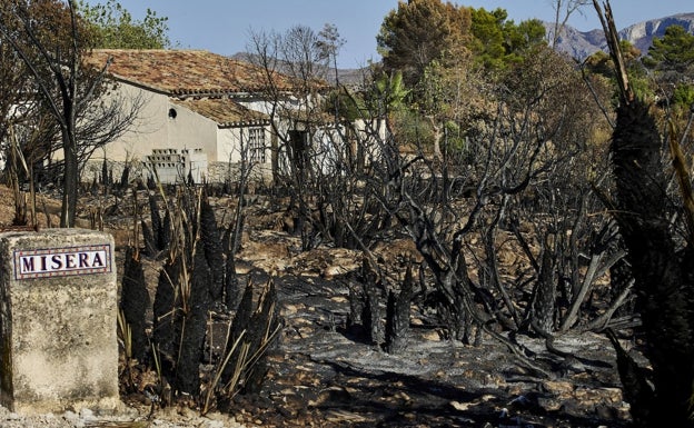 Asaja señala al Gobierno y la Generalitat por el avance de las llamas del incendio de Vall d'Ebo