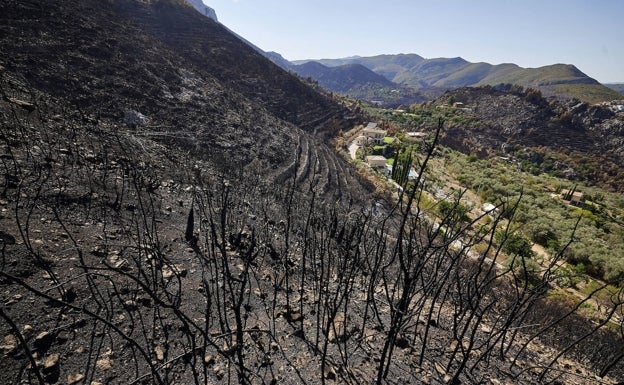 Los bomberos dan por controlado el incendio forestal de Vall d'Ebo