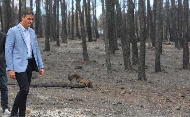 Sánchez anuncia nuevas ayudas por los incendios de la Comunitat en una visita sin vecinos