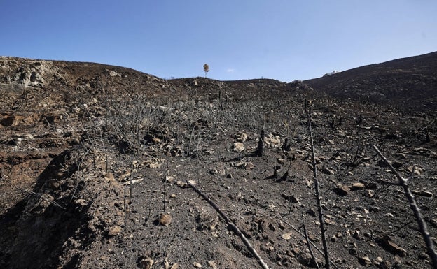 El incendio de Vall d'Ebo no quedará extinguido este lunes pero evoluciona favorablemente