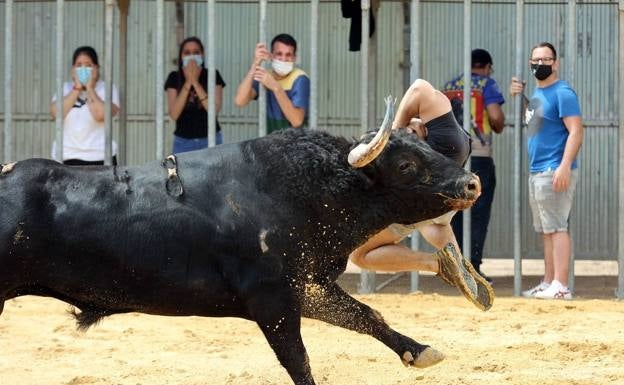 Bravo ve «preocupante» la cifra de fallecidos en bous al carrer y aboga por revisar los protocolos