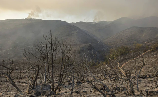 Siete incendios en la Comunitat son declarados zonas catastróficas
