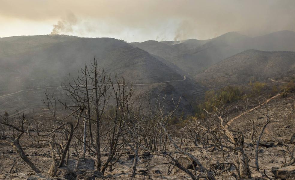 Siete incendios en la Comunitat son declarados zonas catastróficas