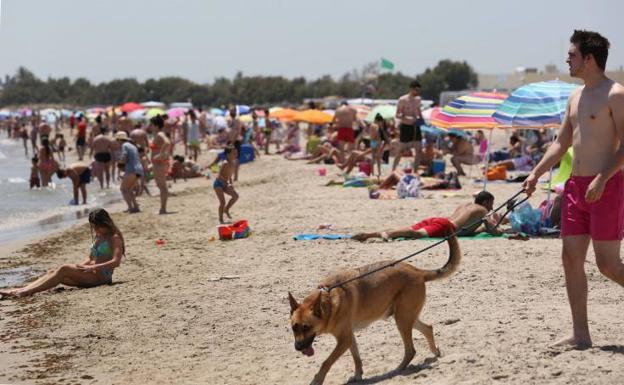 El Ayuntamiento de Valencia anuncia horarios y fecha de cierre de la playa para perros de Pinedo