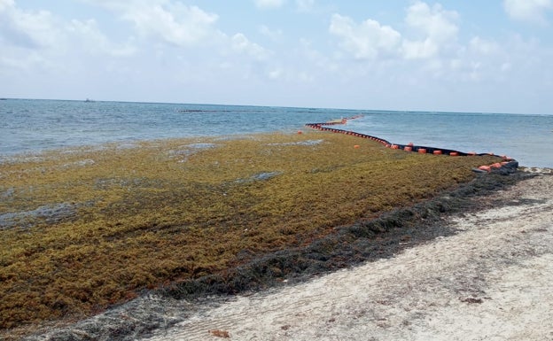 Sueca propone a Costas crear un canal para llevar el agua turbia de las acequias mar adentro