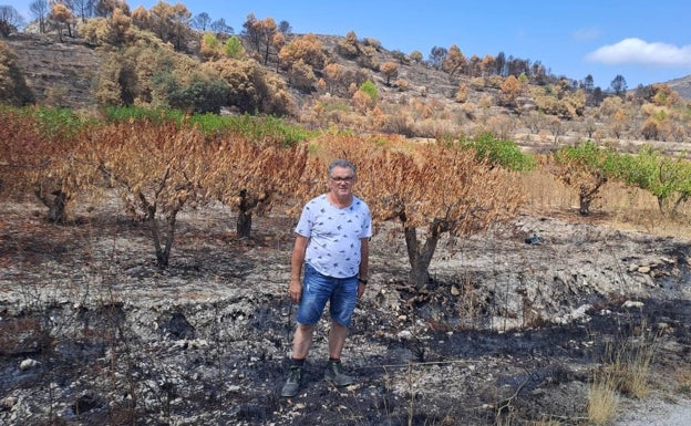 El incendio de la Vall d'Ebo arrasa más de 3.000 hectáreas de campos de cultivo