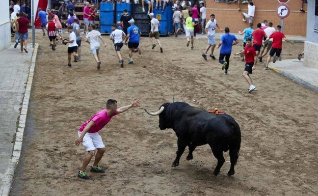 Imprudencias y falta de formación tras el aumento de muertes en los bous al carrer en la Comunitat