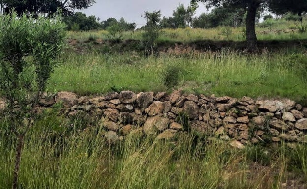 Benitatxell recuperará los muros de piedra seca de Les Fonts